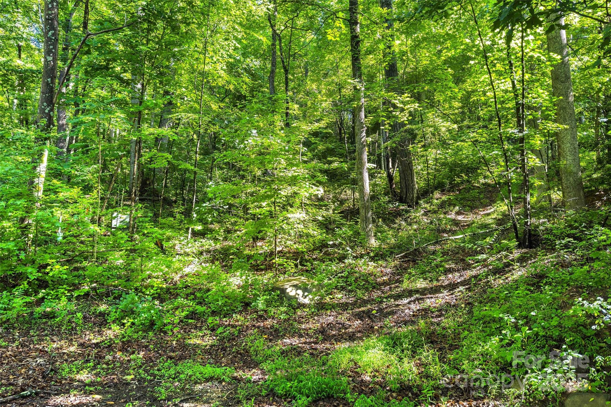 Lot #76 Hunnicut Spur Road Marion NC 28752