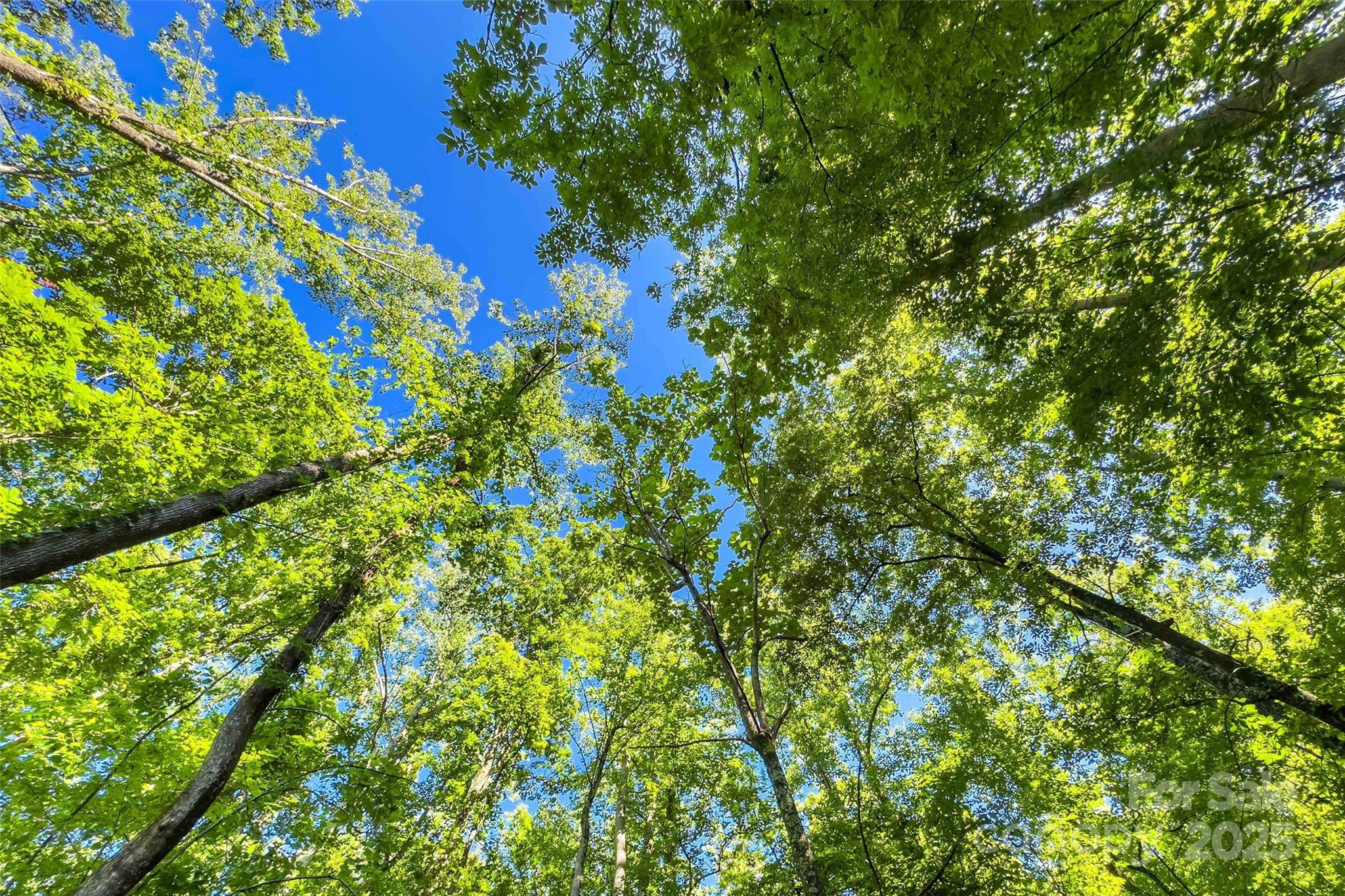 Lot #76 Hunnicut Spur Road Marion NC 28752