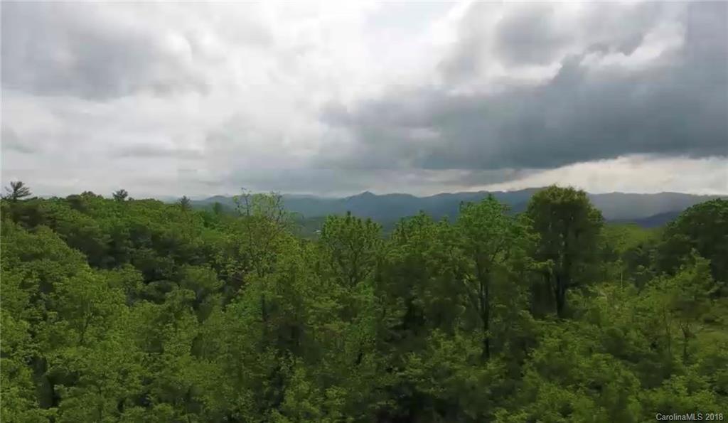 801 Freedom Cove Drive Marshall NC 28753