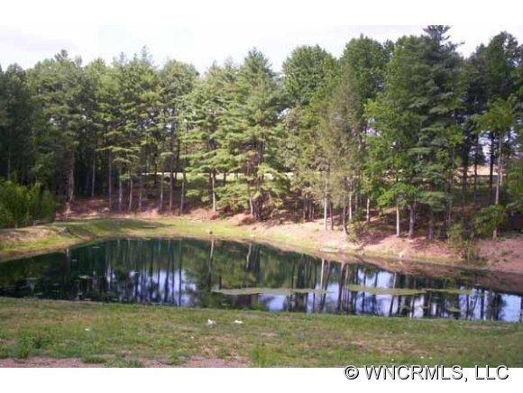 36 Copper Mill Court Candler NC 28715