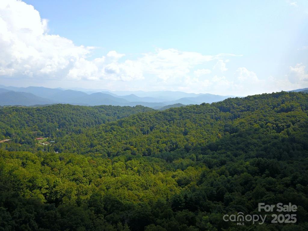 0 Mountain Forest Estates Road Sylva NC 28779