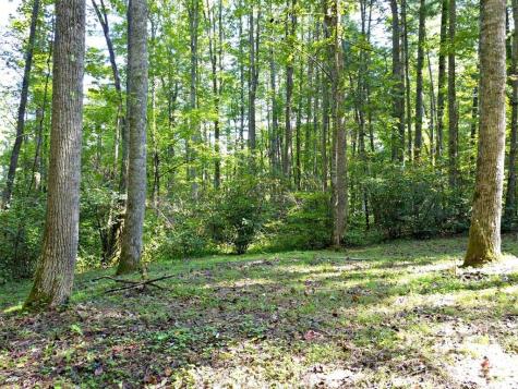 0 Mountain Forest Estates Road Sylva NC 28779