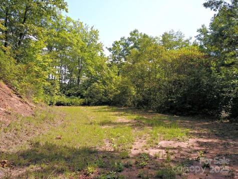0 Mountain Forest Estates Road Sylva NC 28779