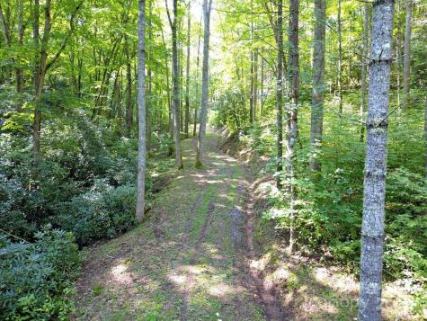 0 Mountain Forest Estates Road Sylva NC 28779