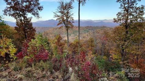 0 Mountain Forest Estates Road Sylva NC 28779