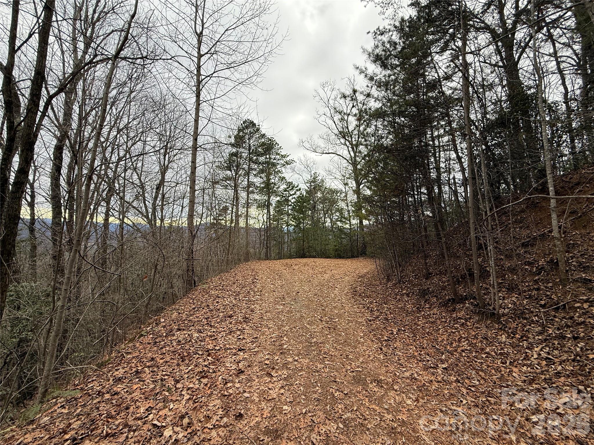 0 Betts Branch Road Bryson City NC 28713