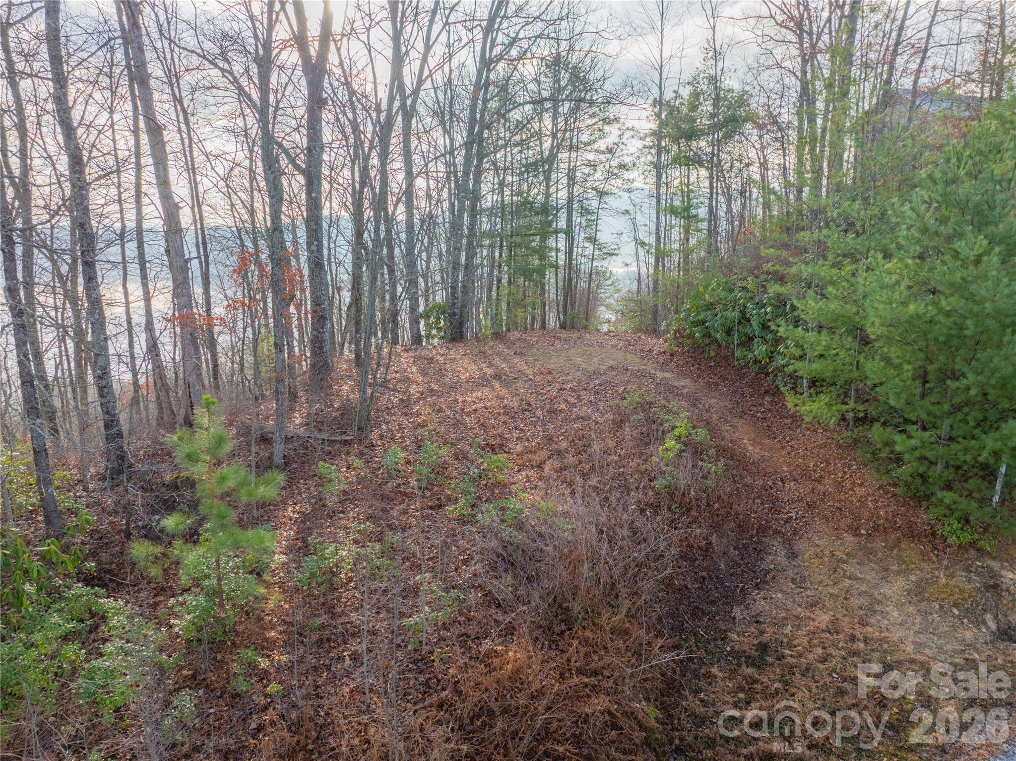0000 Tsali Crossing N Bryson City NC 28713