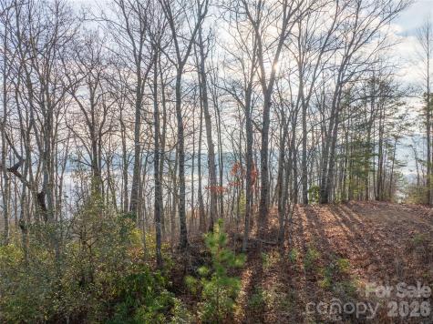 0000 Tsali Crossing N Bryson City NC 28713