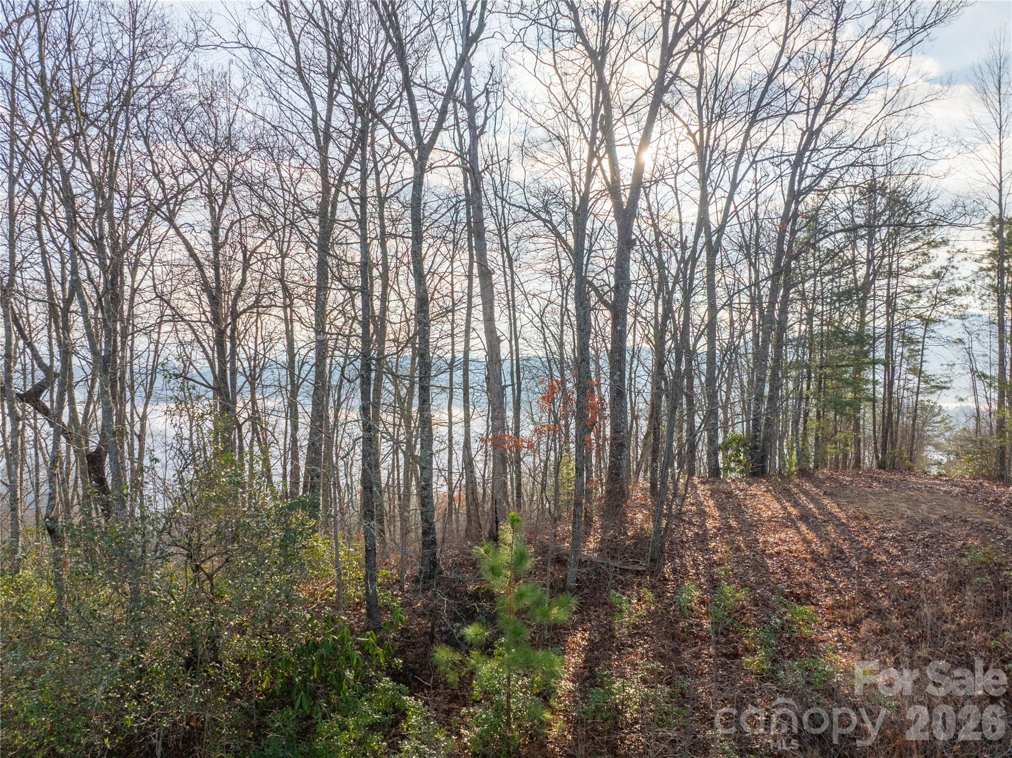 0000 Tsali Crossing N Bryson City NC 28713
