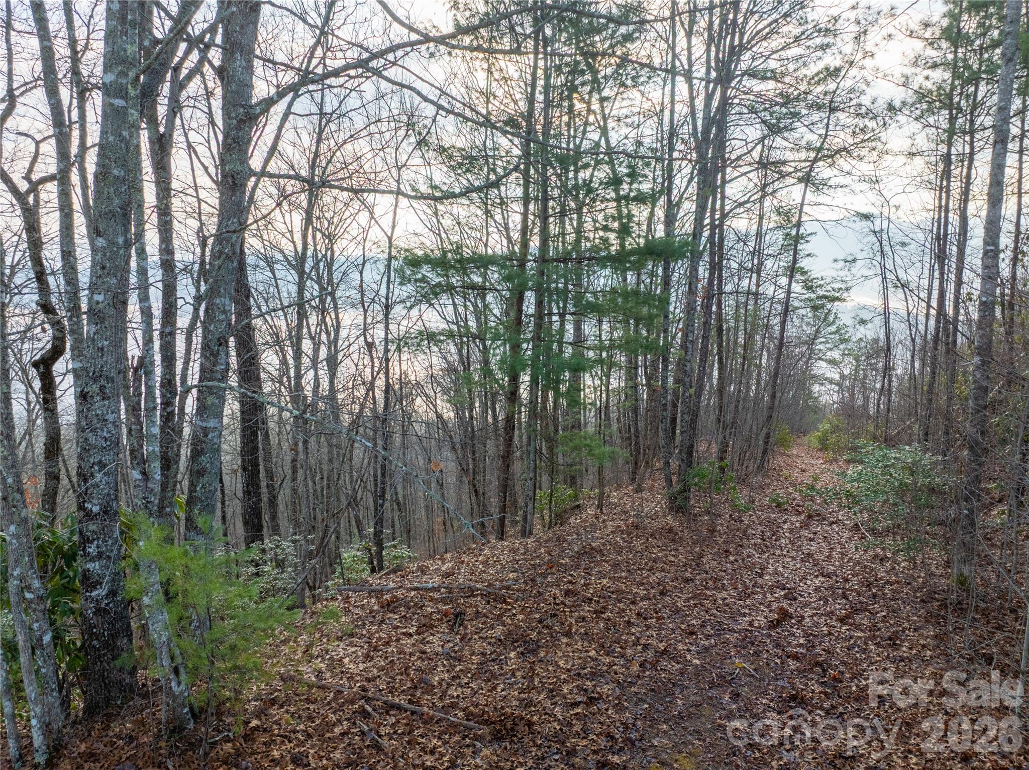 0000 Tsali Crossing N Bryson City NC 28713