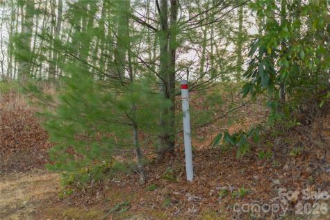 0000 Tsali Crossing N Bryson City NC 28713
