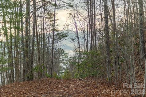 0000 Tsali Crossing N Bryson City NC 28713