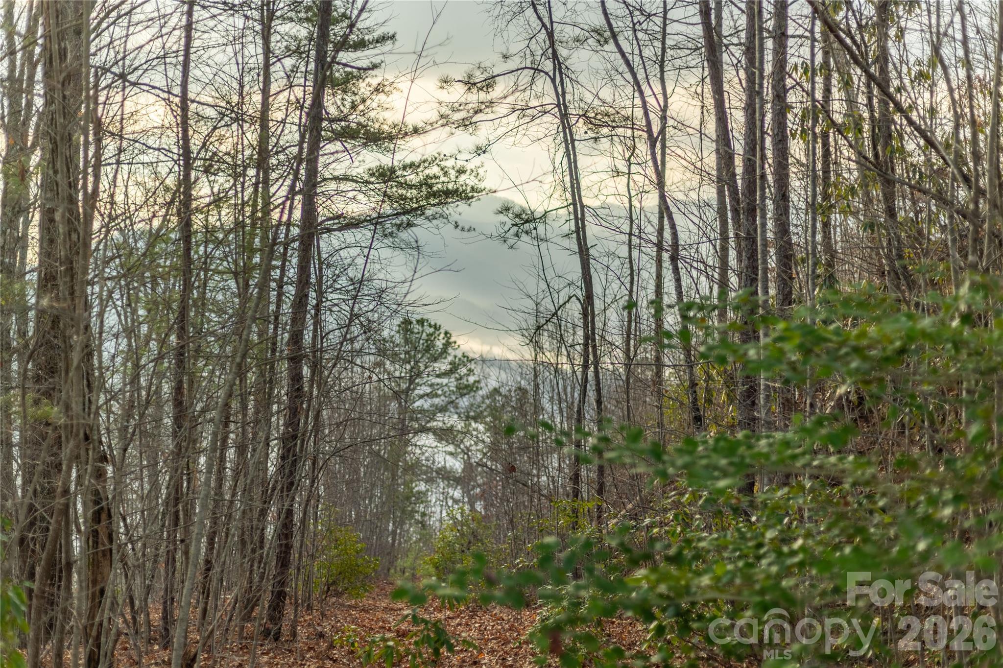 0000 Tsali Crossing N Bryson City NC 28713