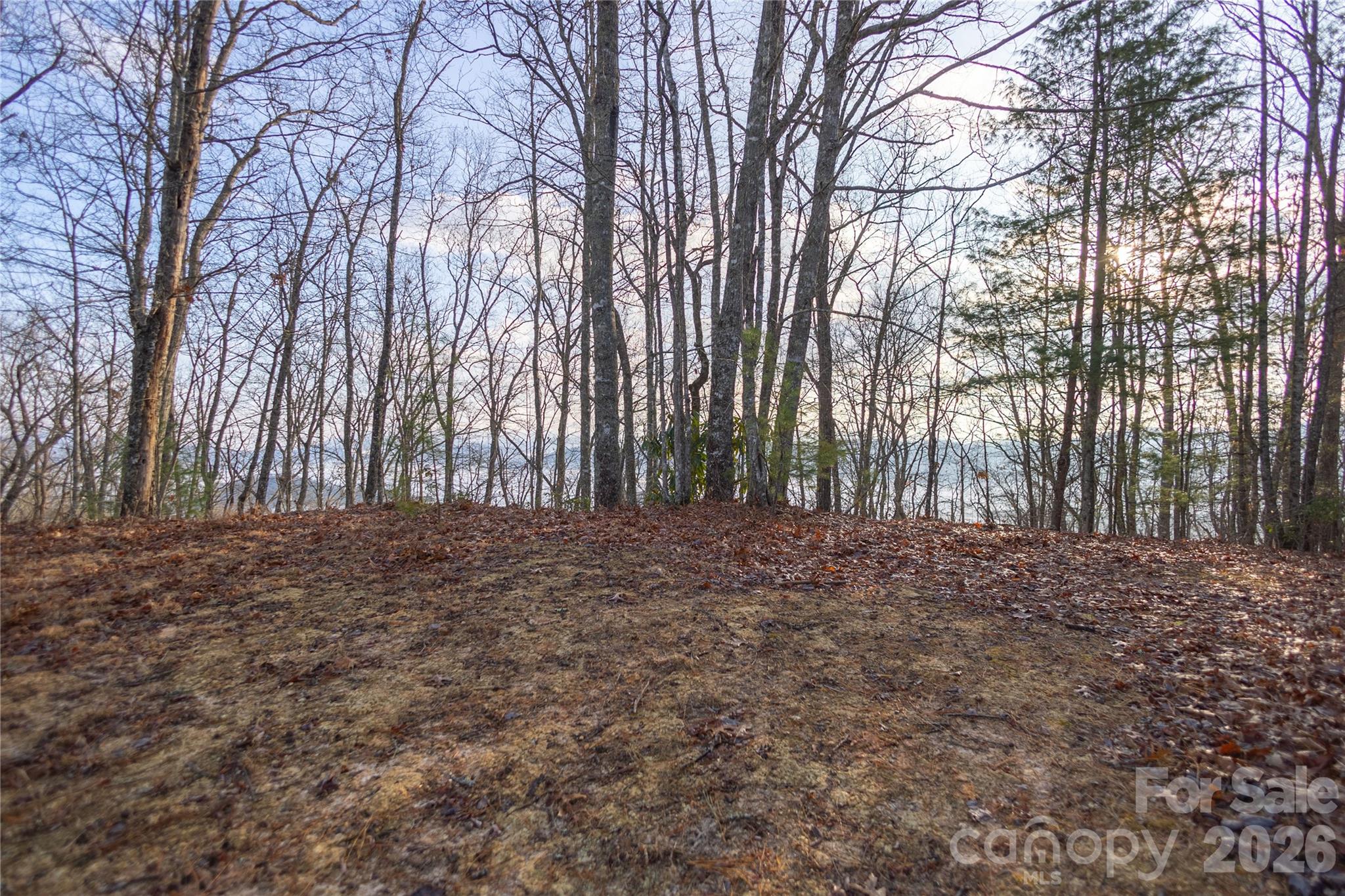 0000 Tsali Crossing N Bryson City NC 28713
