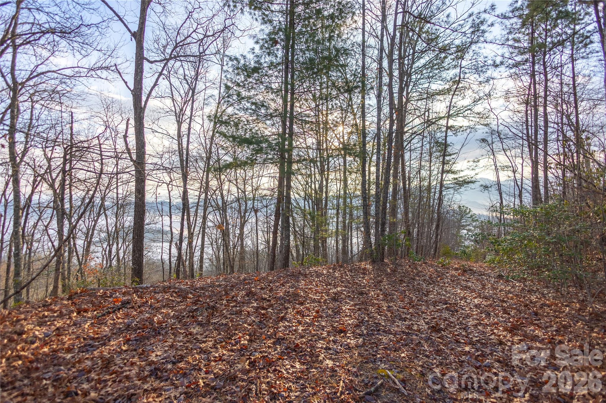 0000 Tsali Crossing N Bryson City NC 28713