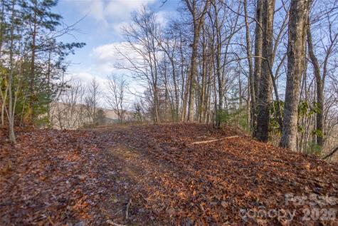 0000 Tsali Crossing N Bryson City NC 28713