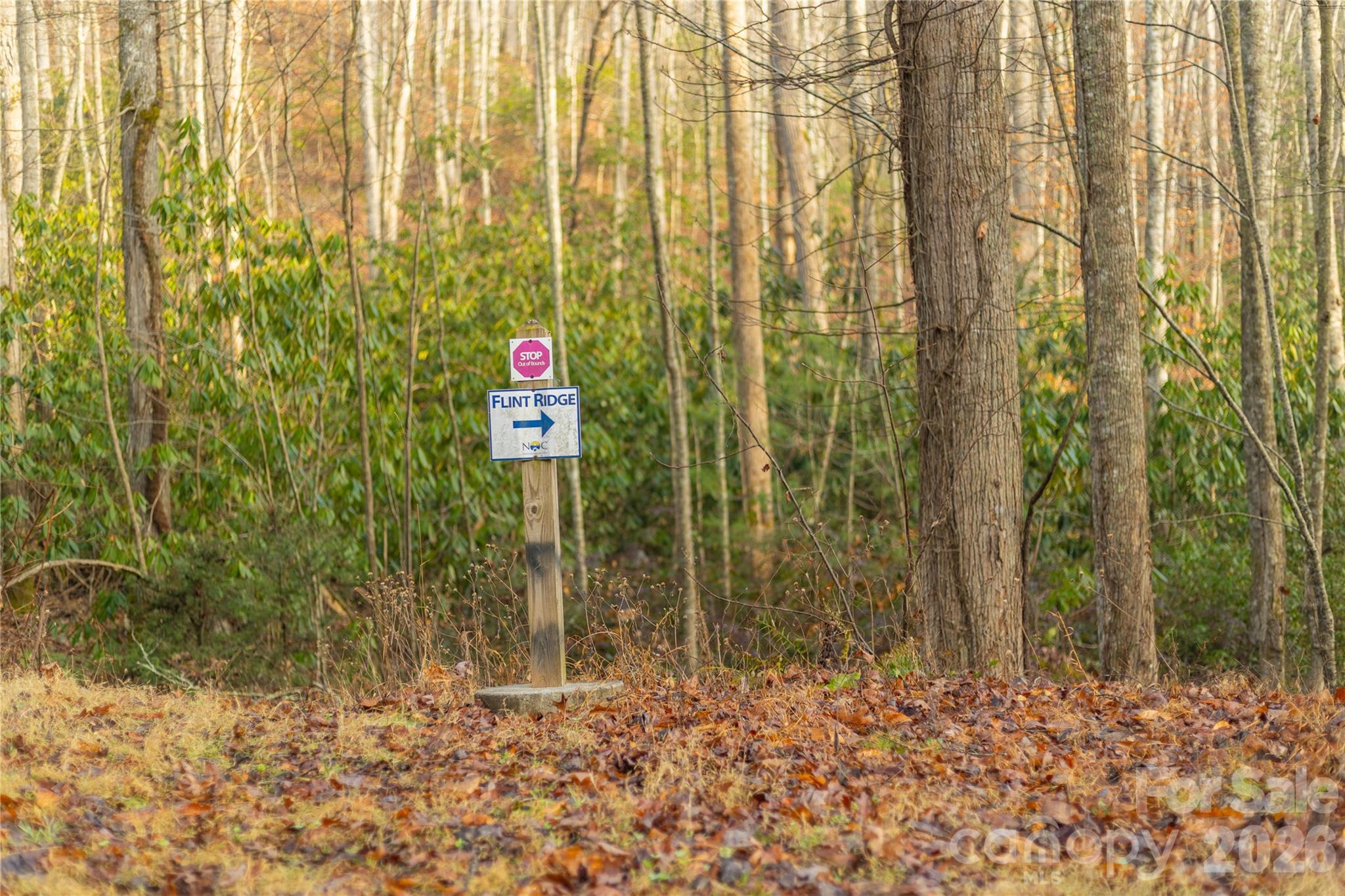 0000 Tsali Crossing N Bryson City NC 28713