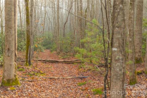 0000 Tsali Crossing N Bryson City NC 28713