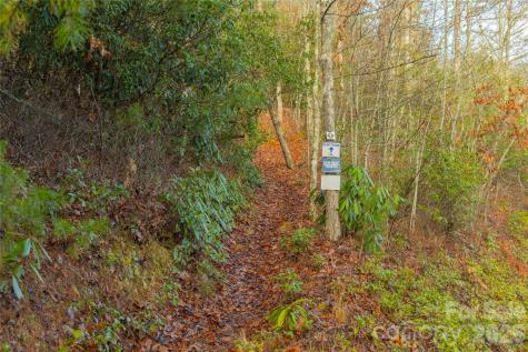 0000 Tsali Crossing N Bryson City NC 28713