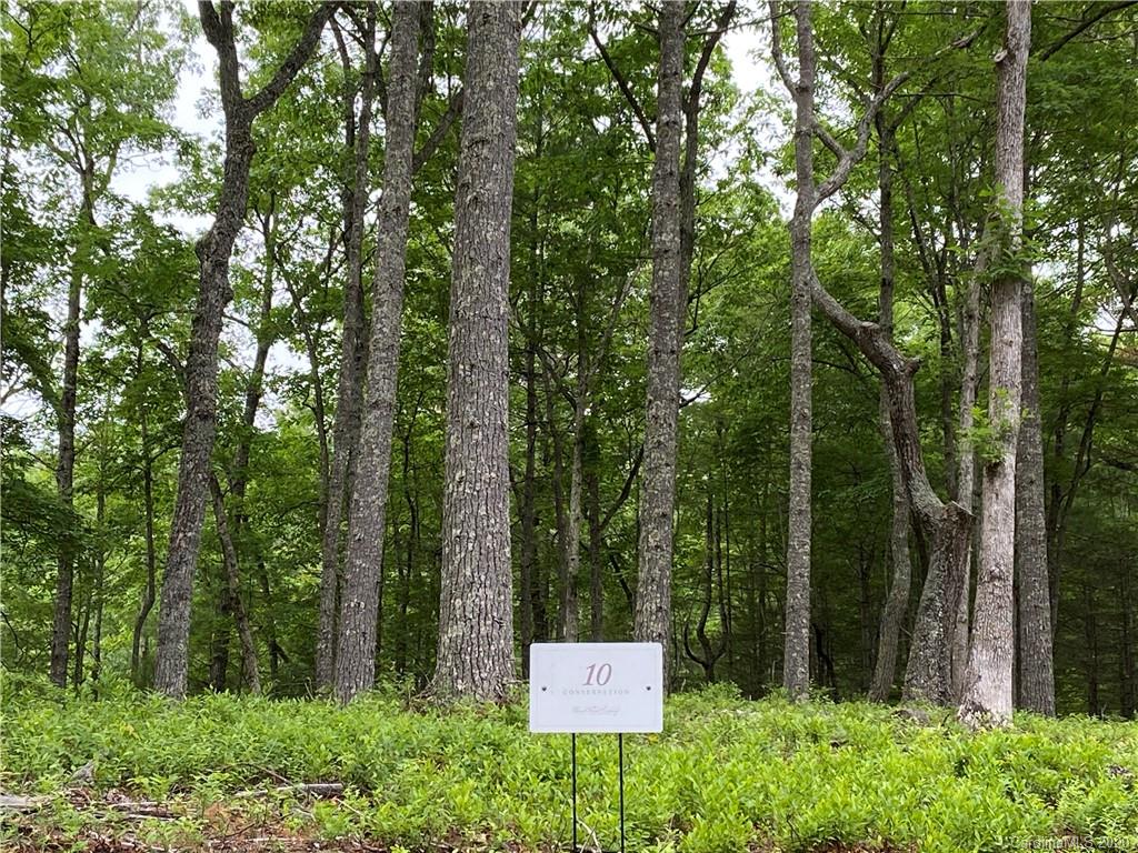 401 Moonbeam Crossing Marshall NC 28753