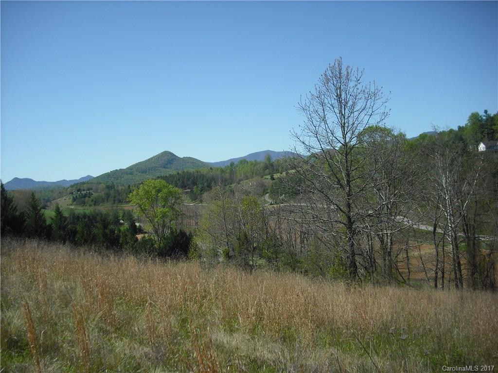 8 Timber Line Drive Leicester NC 28748