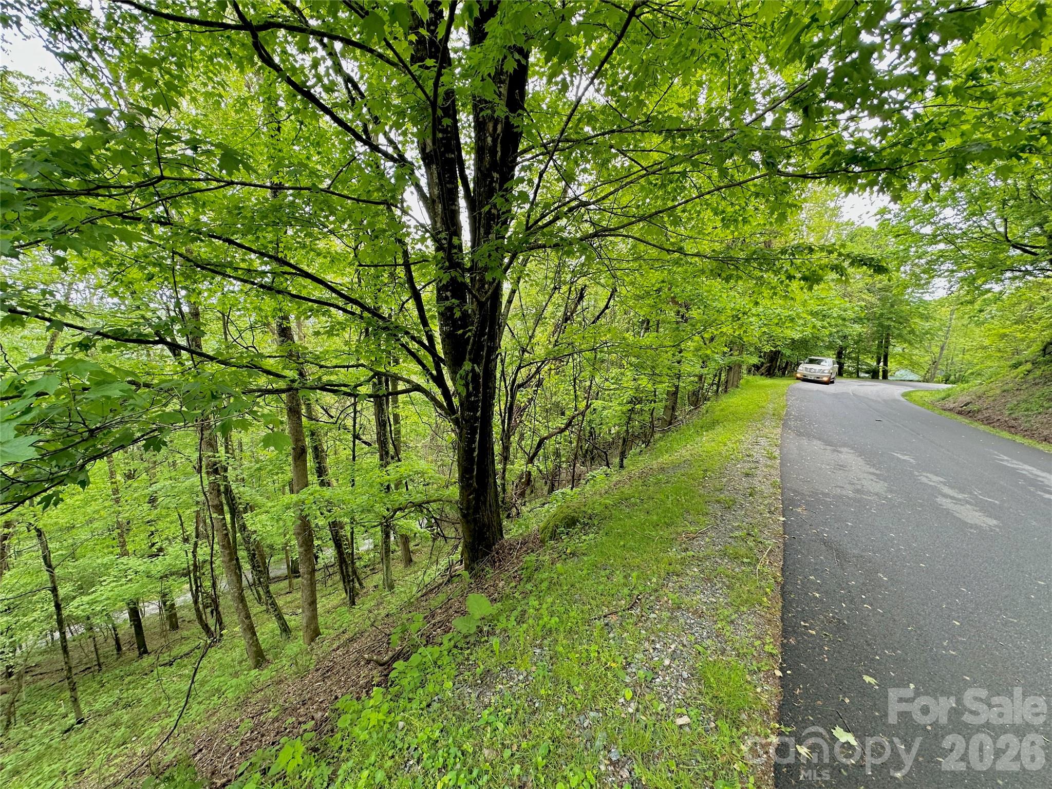 Tbd Alpine Drive Seven Devils NC 28604
