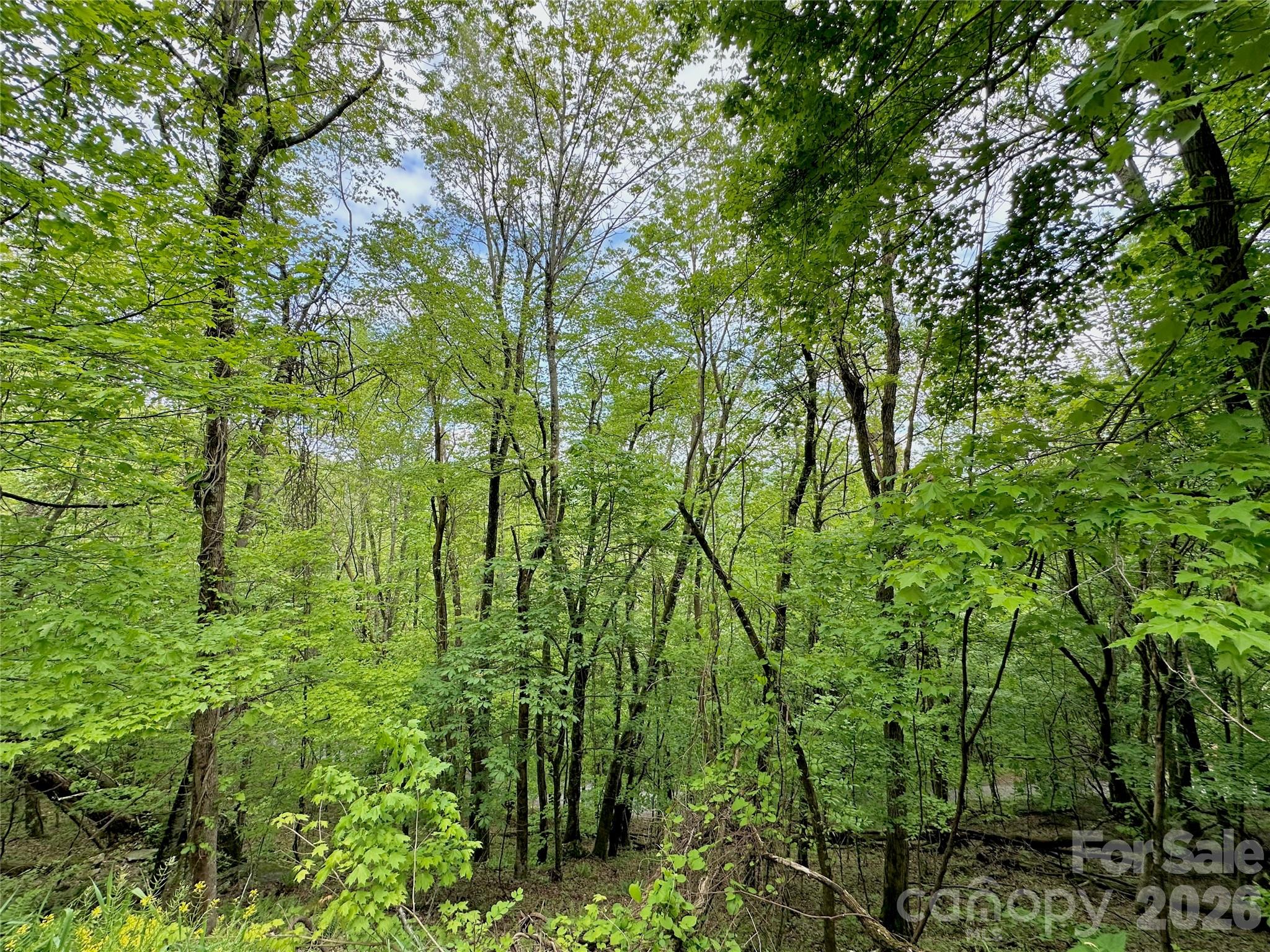 Tbd Alpine Drive Seven Devils NC 28604