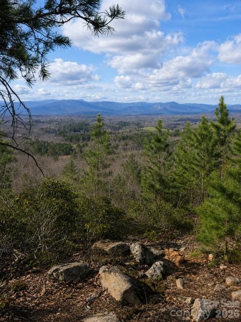 9999 Little Creek Drive Nebo NC 28761