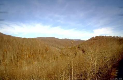 140 Atlantic Falls Trail Black Mountain NC 28711
