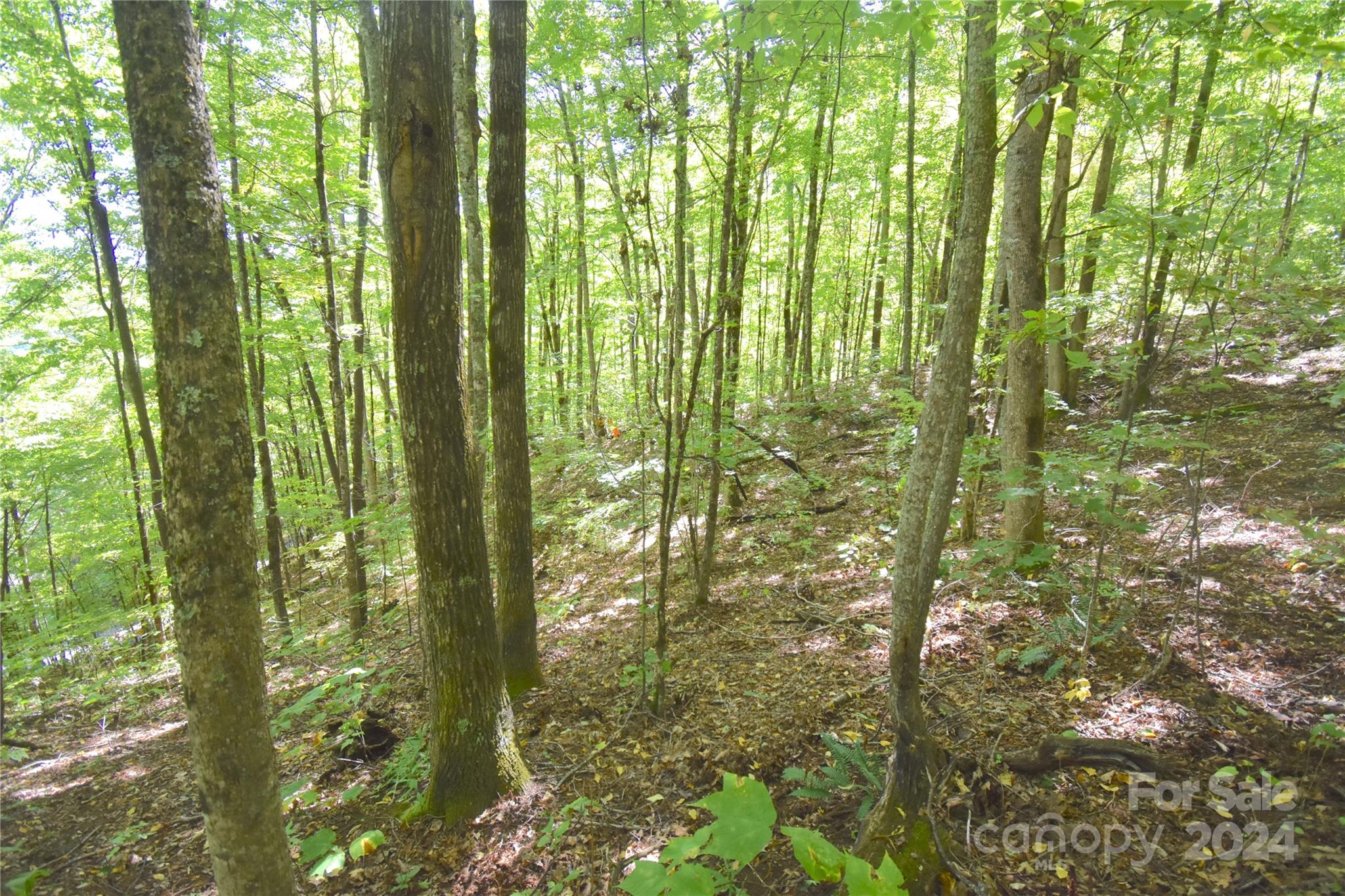 0 Chimney Ridge Trail Waynesville NC 28786