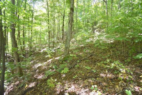 0 Chimney Ridge Trail Waynesville NC 28786