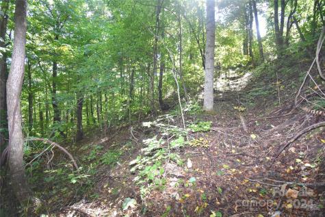 0 Chimney Ridge Trail Waynesville NC 28786