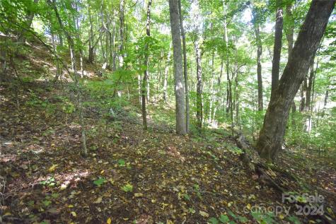0 Chimney Ridge Trail Waynesville NC 28786