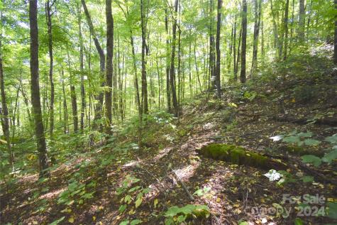 0 Chimney Ridge Trail Waynesville NC 28786