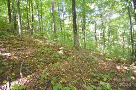 0 Chimney Ridge Trail Waynesville NC 28786