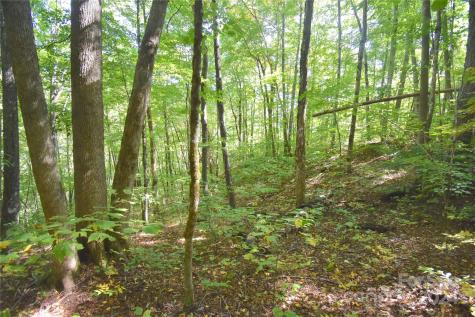 0 Chimney Ridge Trail Waynesville NC 28786