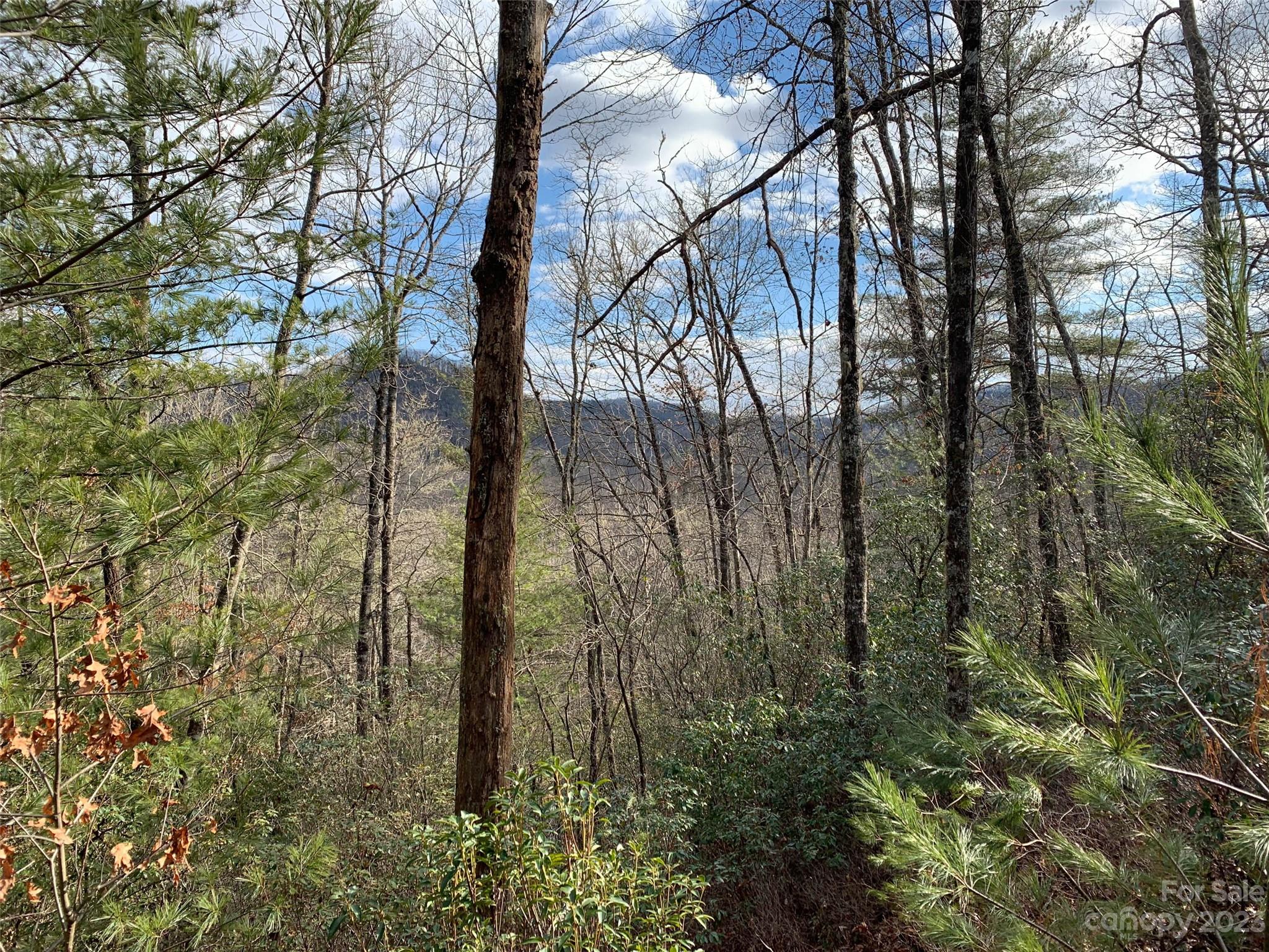 91 Laurel Thicket Lane Brevard NC 28712