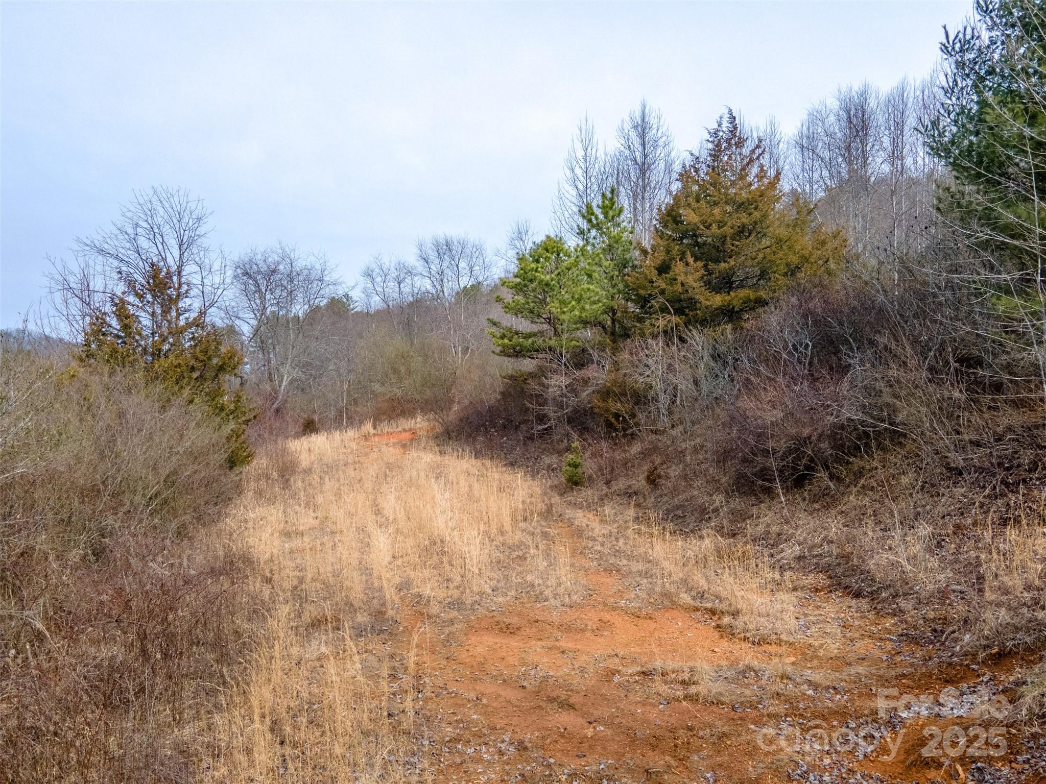 0 Georgia Road Franklin NC 28734