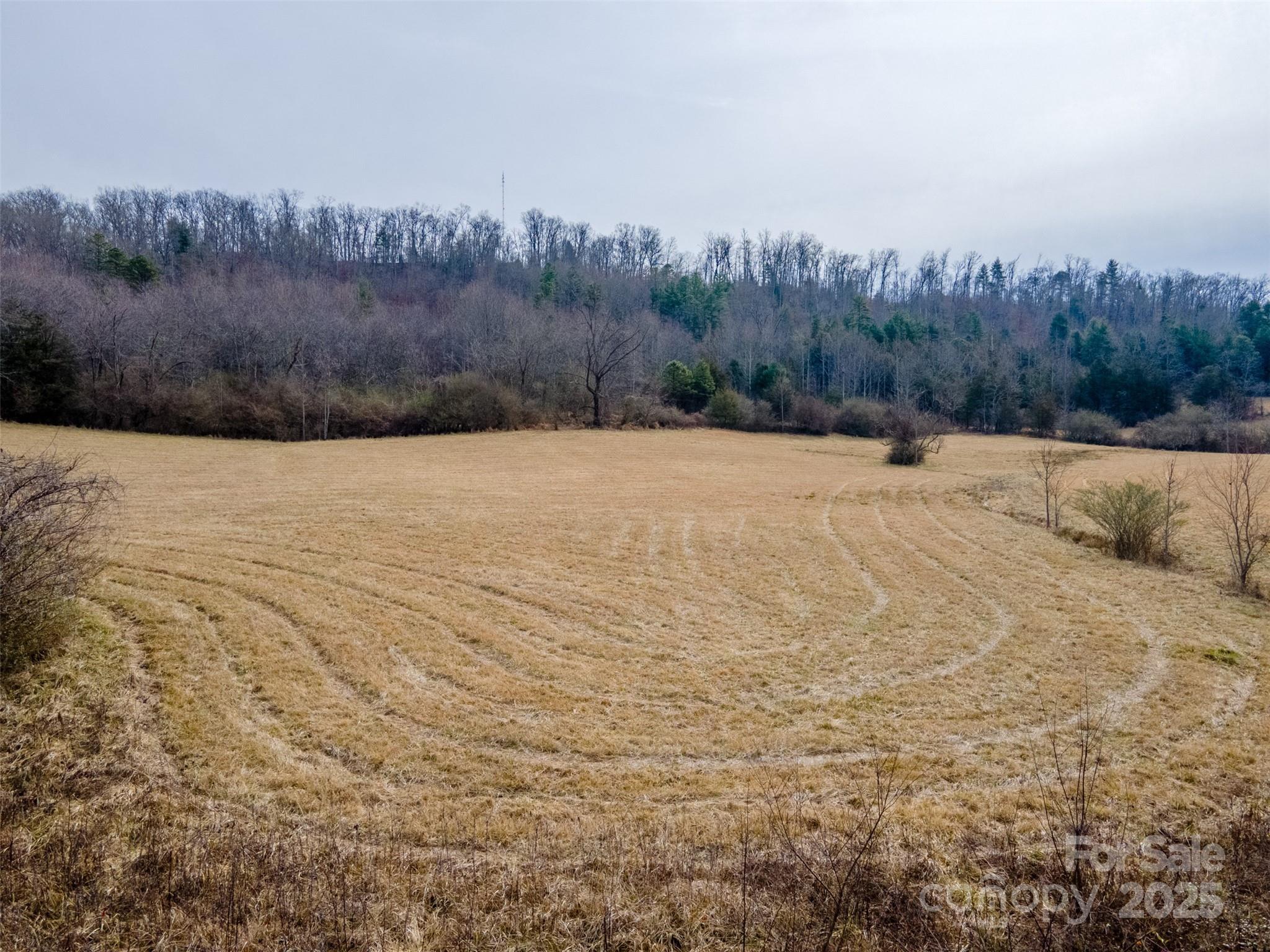 0 Georgia Road Franklin NC 28734