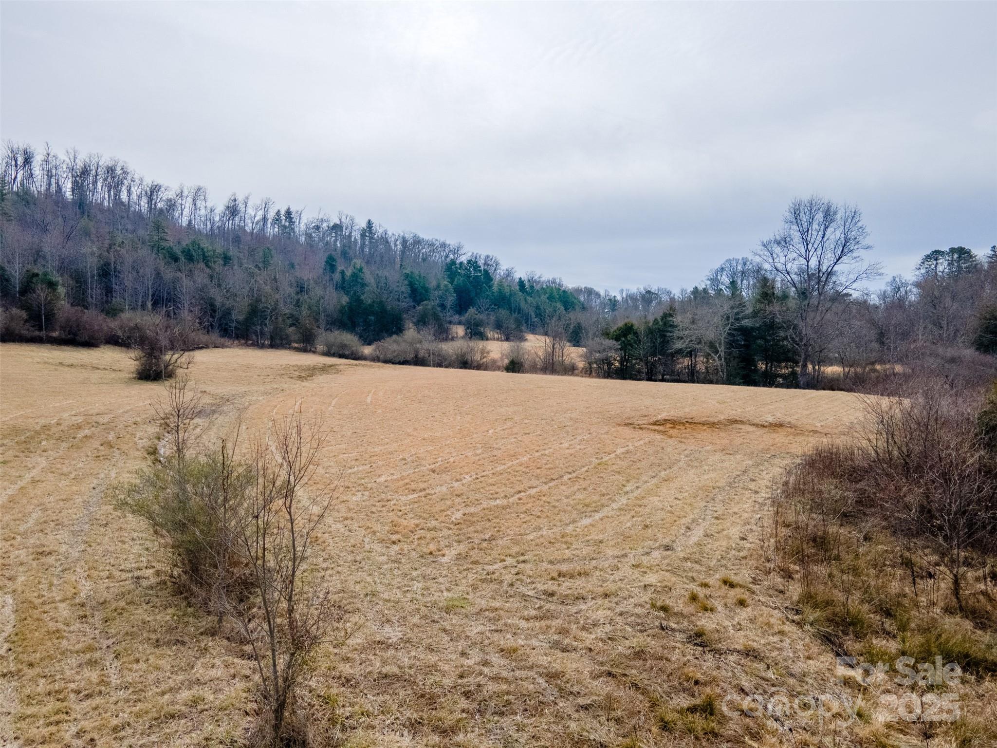 0 Georgia Road Franklin NC 28734