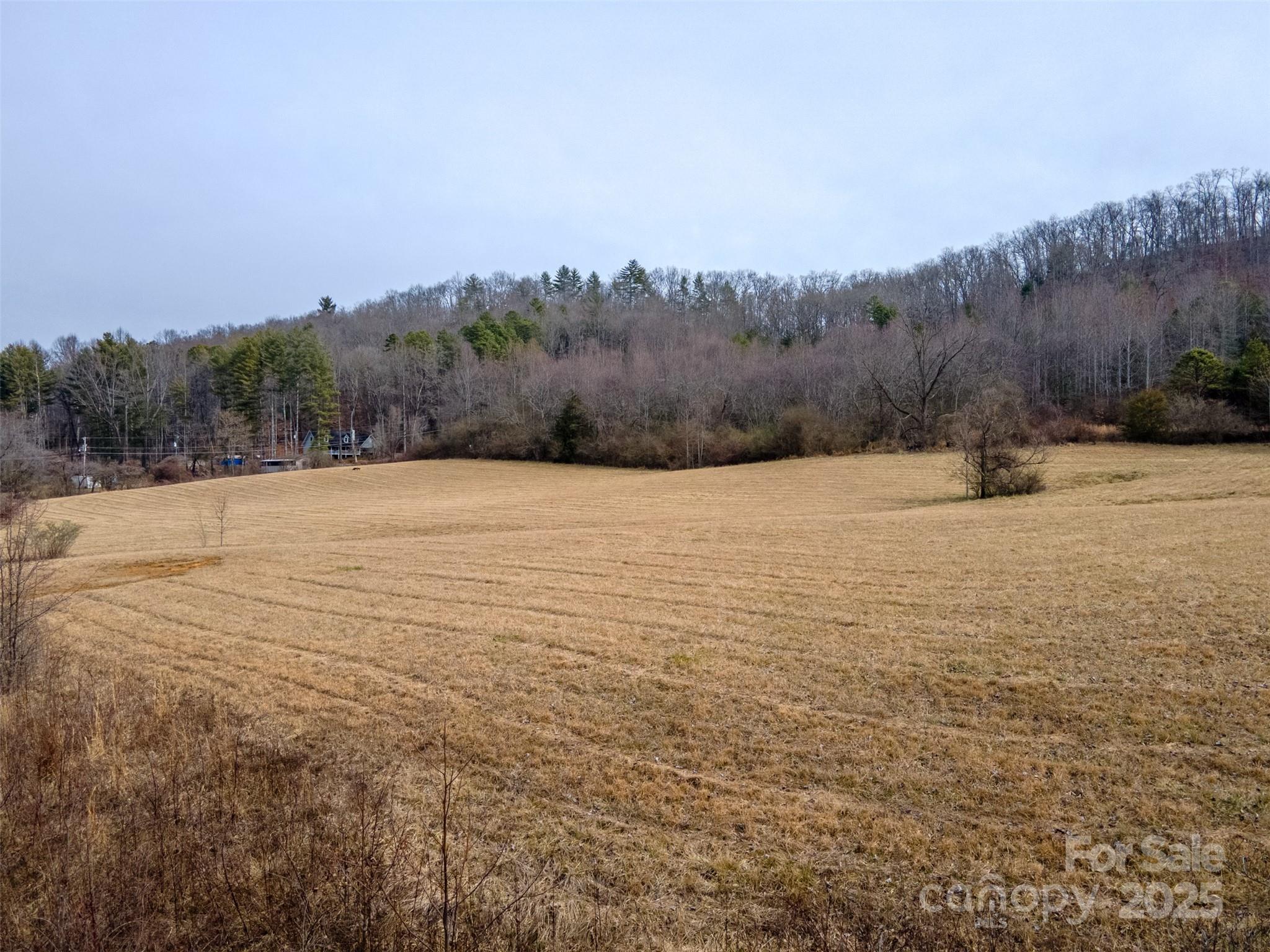 0 Georgia Road Franklin NC 28734