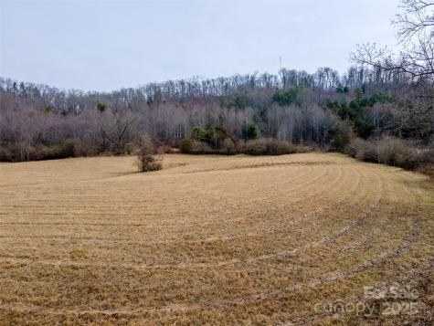 0 Georgia Road Franklin NC 28734