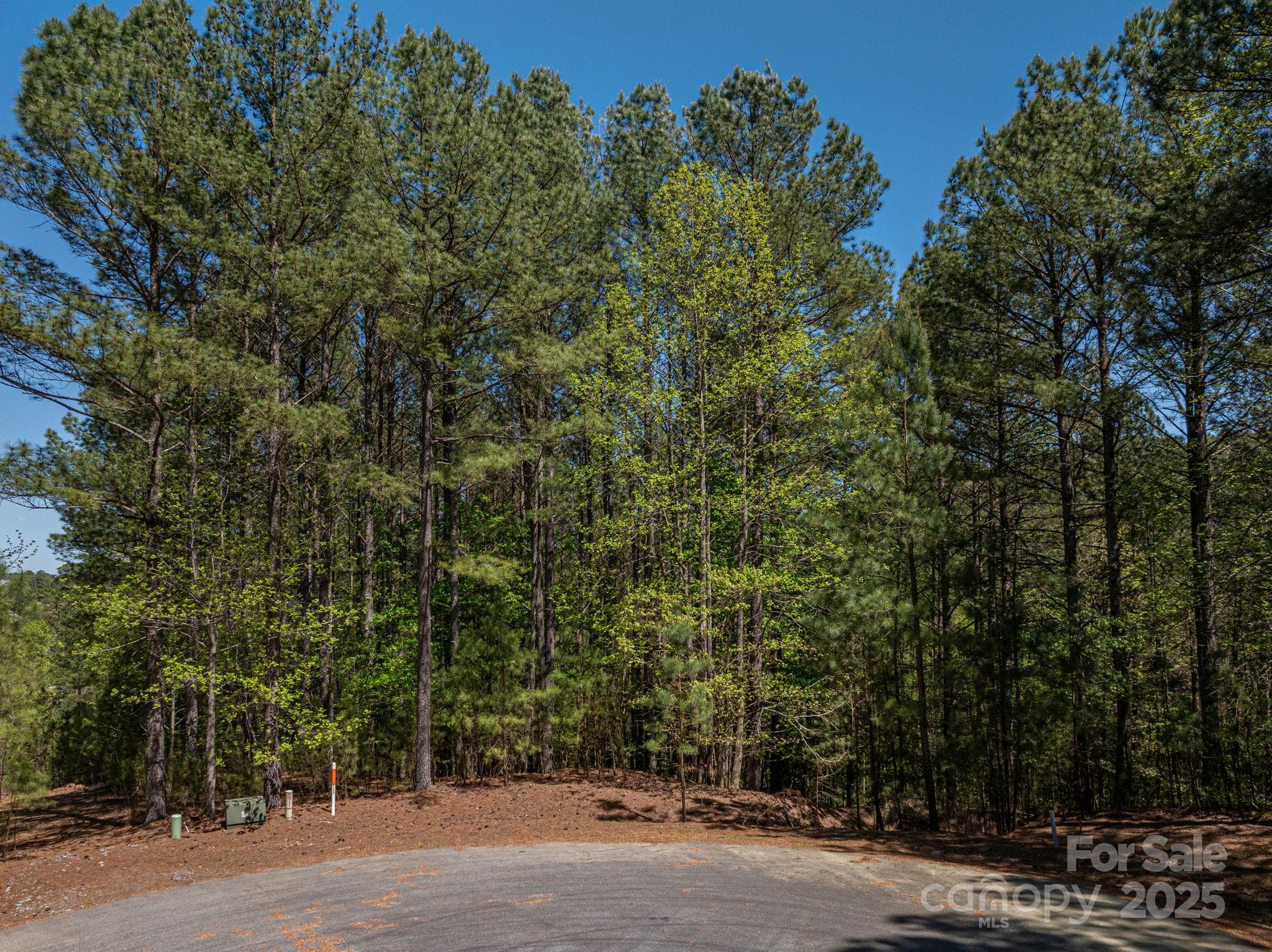 1236 Boardwalk Drive Connelly Springs NC 28612