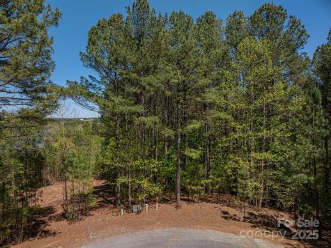 1236 Boardwalk Drive Connelly Springs NC 28612