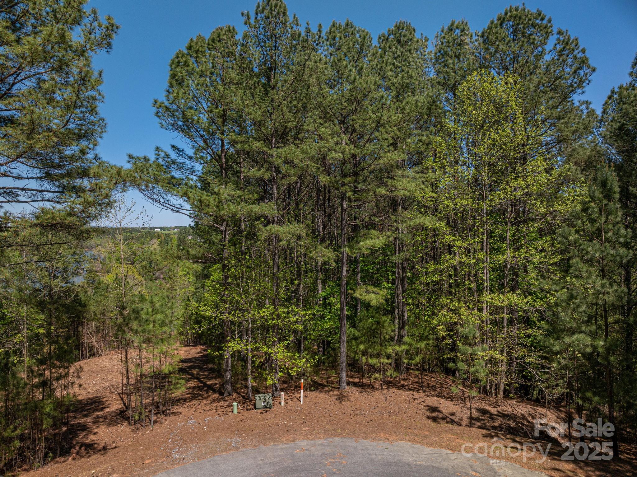 1236 Boardwalk Drive Connelly Springs NC 28612
