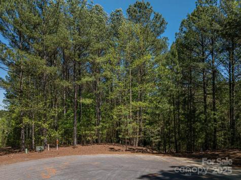 1236 Boardwalk Drive Connelly Springs NC 28612