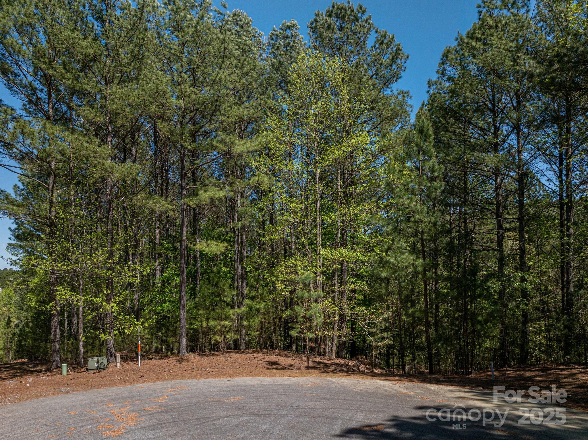 1236 Boardwalk Drive Connelly Springs NC 28612