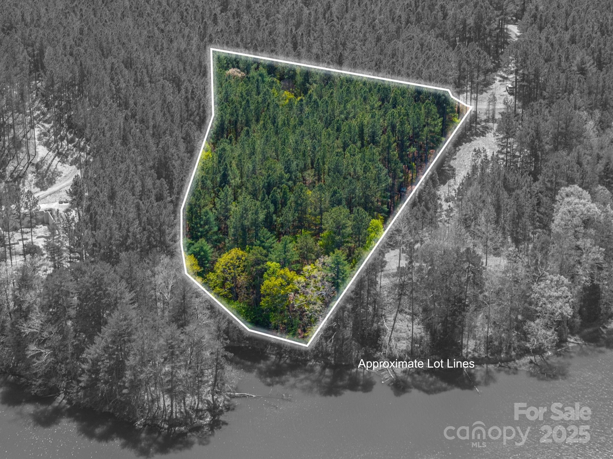 1236 Boardwalk Drive Connelly Springs NC 28612