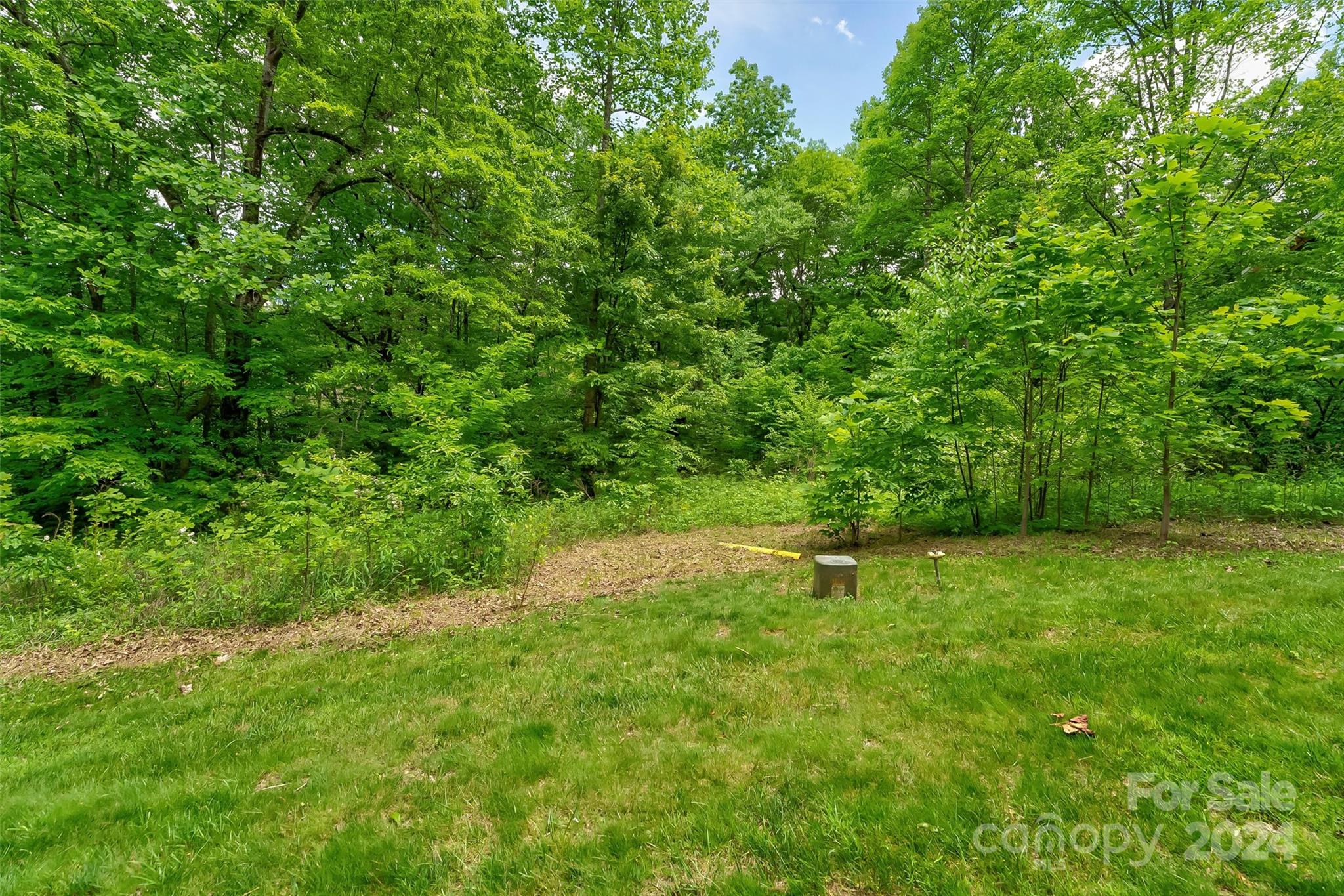 26 Old Lafayette Lane Black Mountain NC 28711