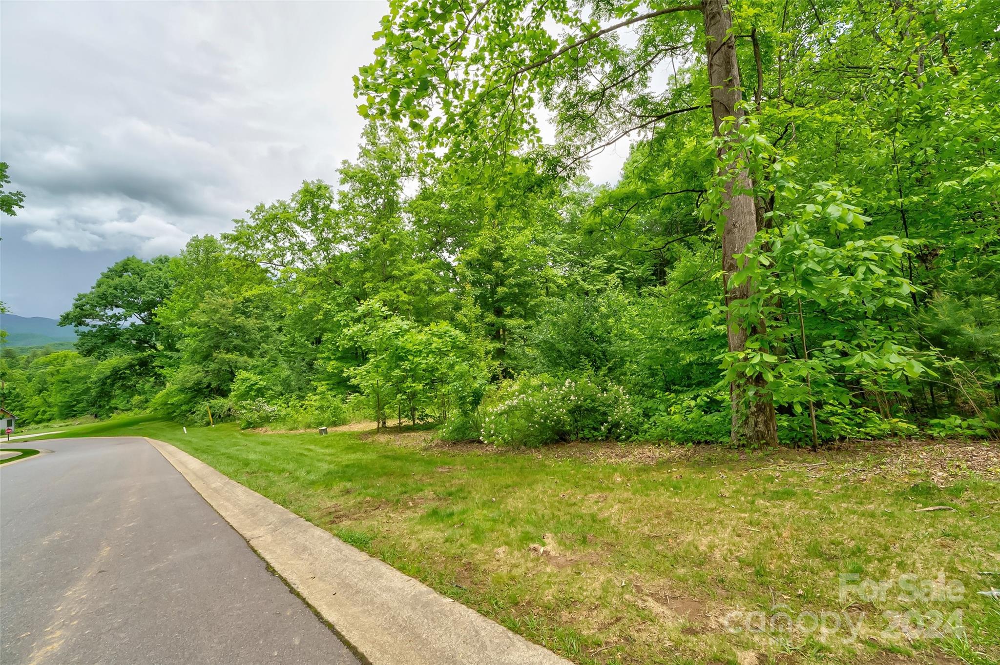 26 Old Lafayette Lane Black Mountain NC 28711